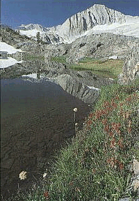Back Country