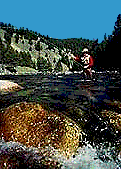 Fishing