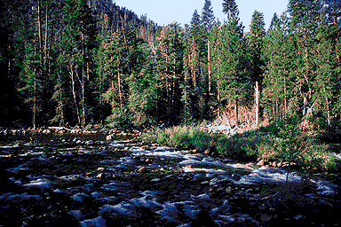 Kings River