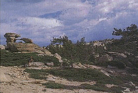 Kissing Rocks