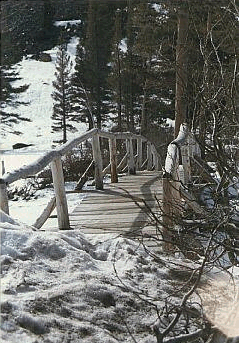 Winter Time