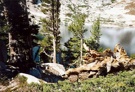 Backcountry View