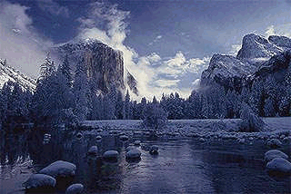 Winter